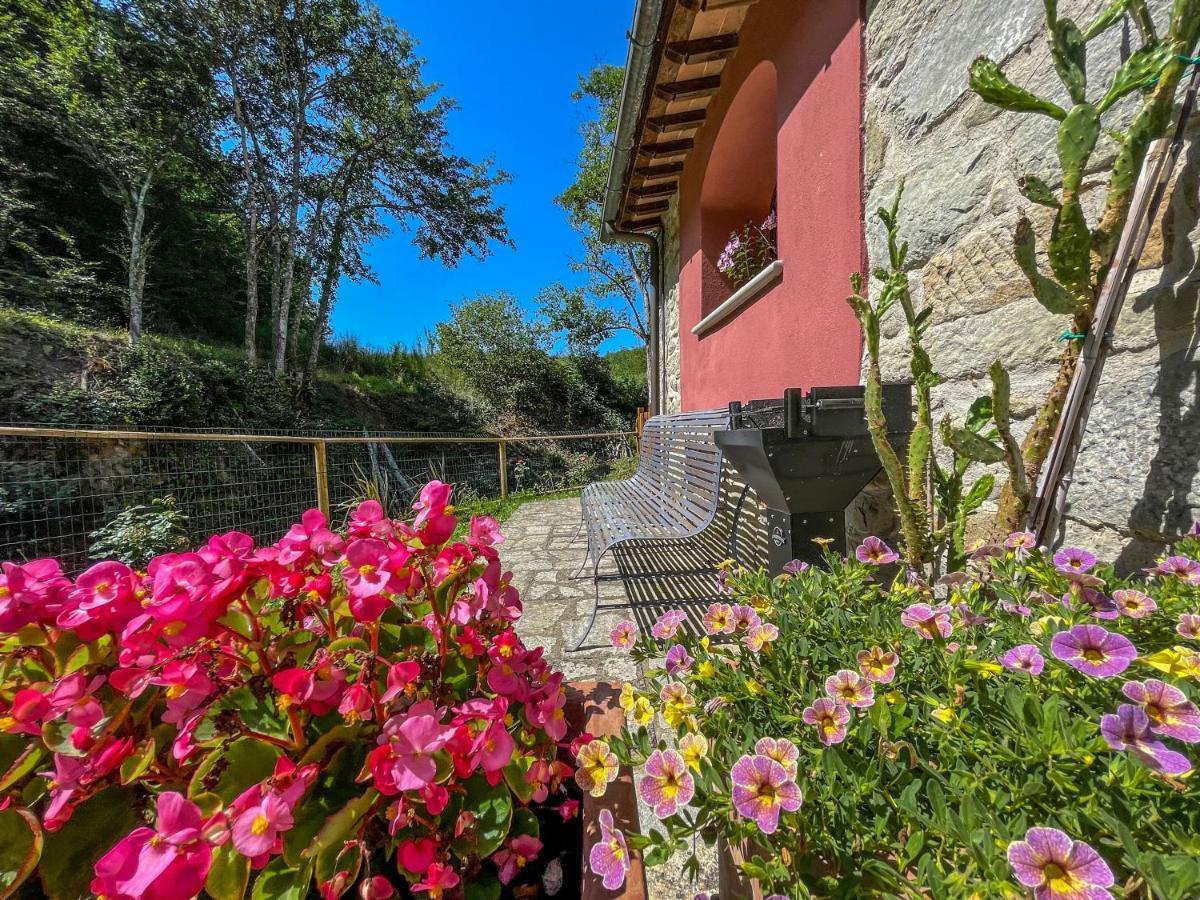 Mulino Di Rimaggio - Antico Mulino In Toscana Cavriglia Exteriör bild
